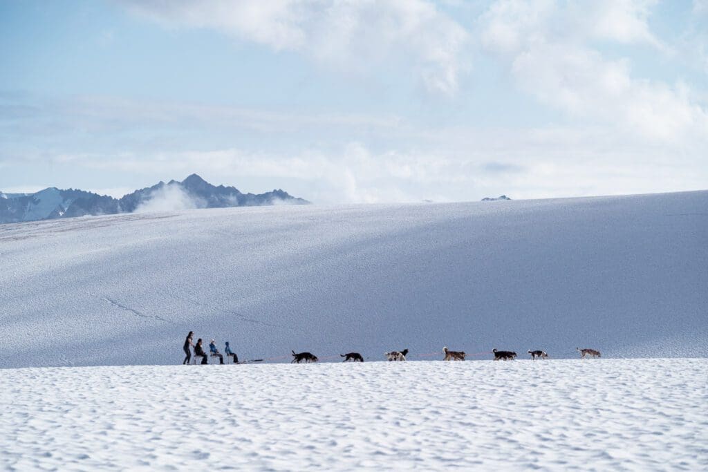 Glacier Dog Sledding on Godwin Glacier